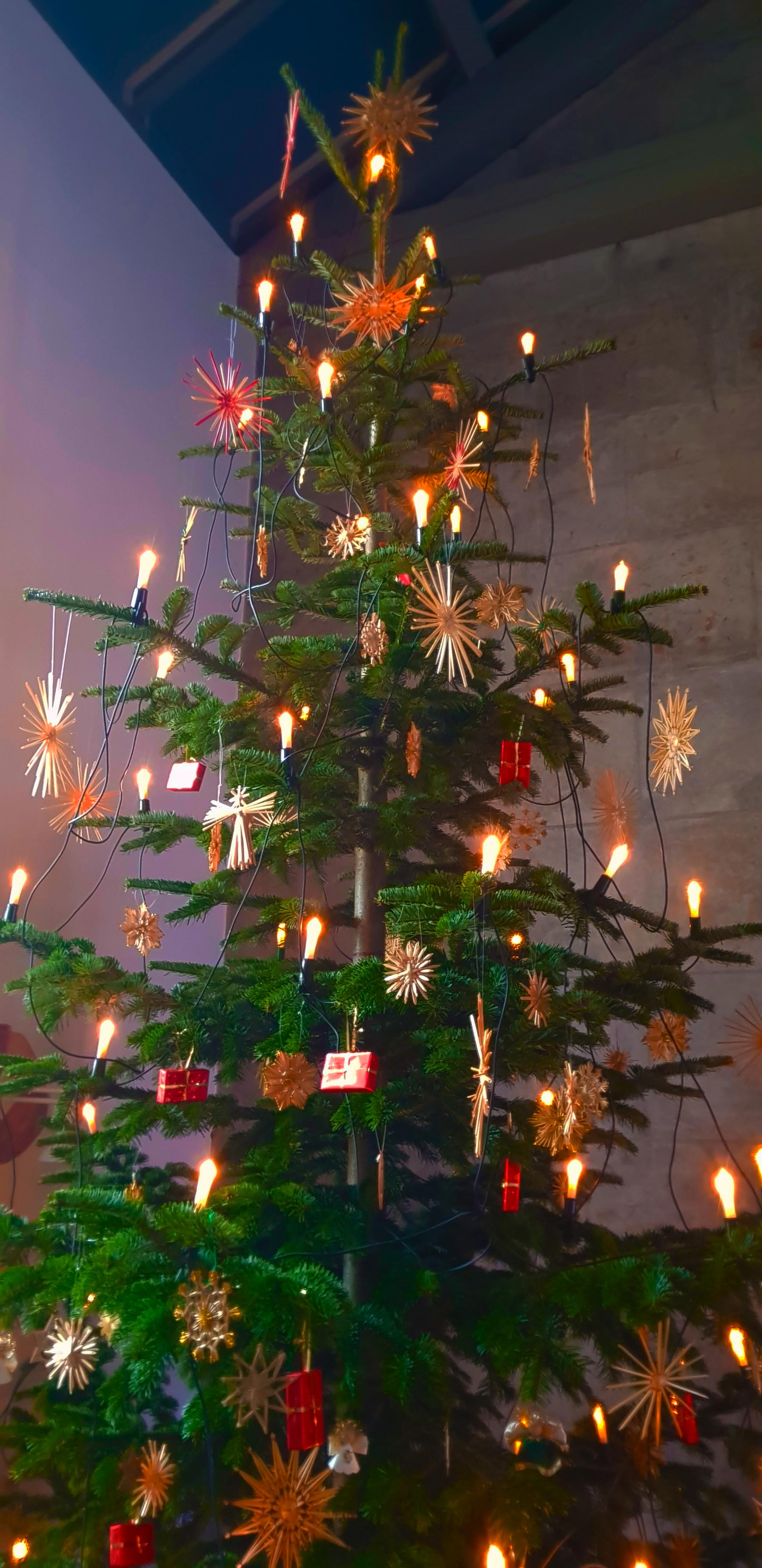 Christbaum2