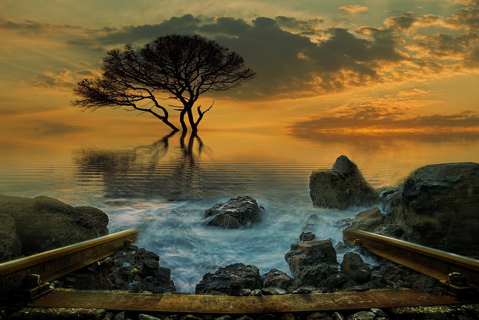 landscape